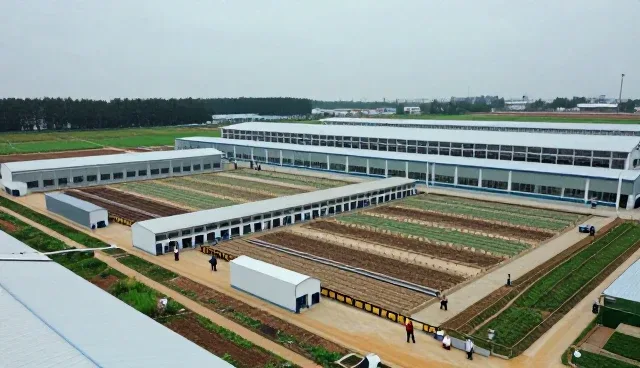 辽宁众腾华越翻译有限公司专注成果转化服务,提供完善技术方案设计方案